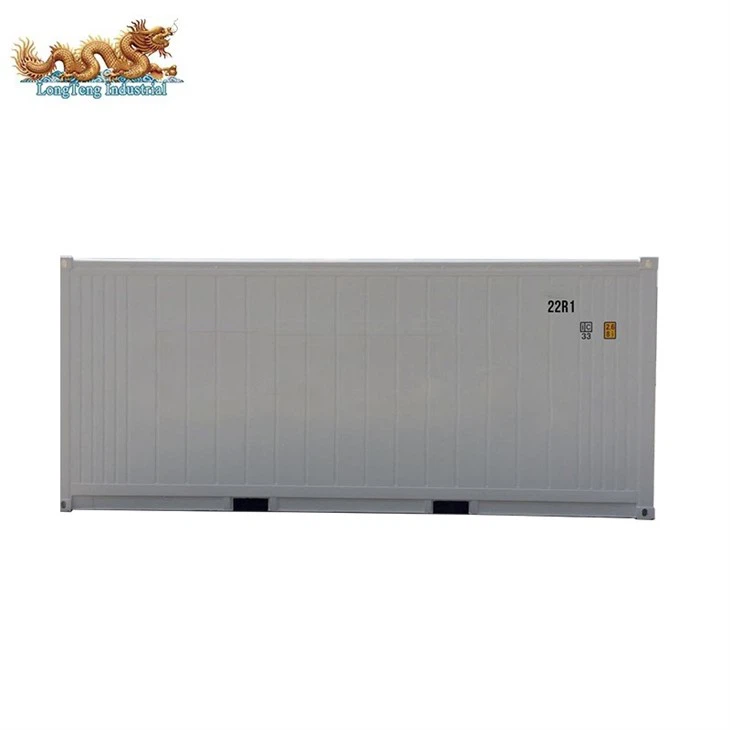 20 ft Daikin Reefer Container